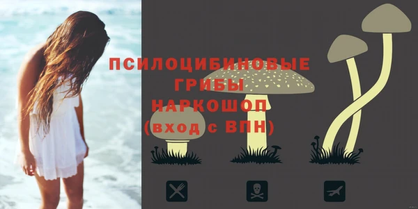 2c-b Абинск