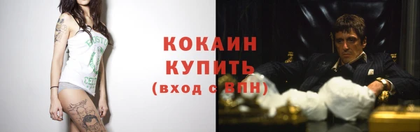 твердый Абаза