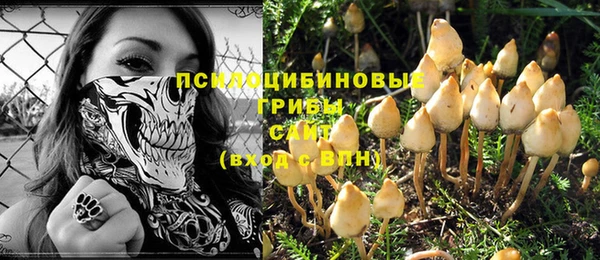 2c-b Абинск
