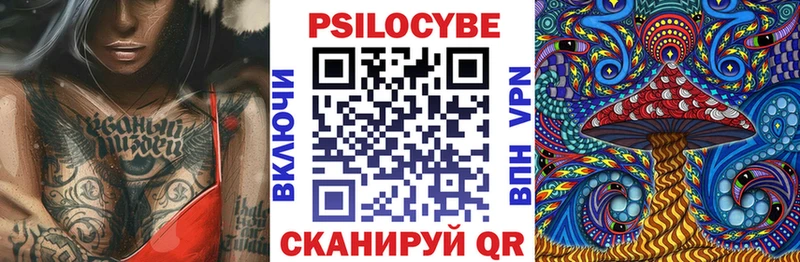 Псилоцибиновые грибы Psilocybe Тырныауз
